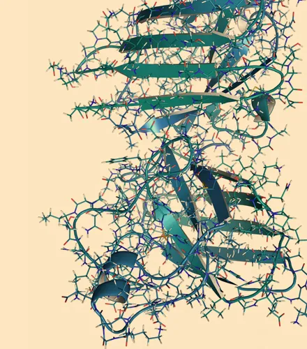 enzymes