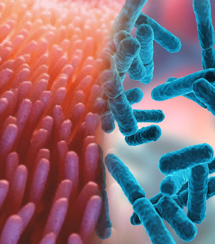 gut health