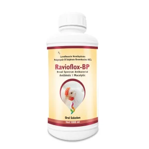 RAVIOFLOX – BP