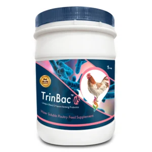 TrinBac