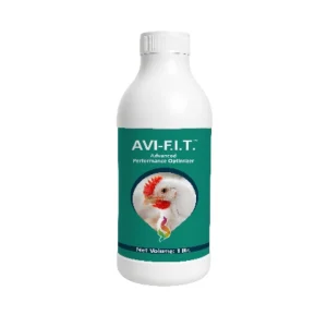AVI-F.I.T